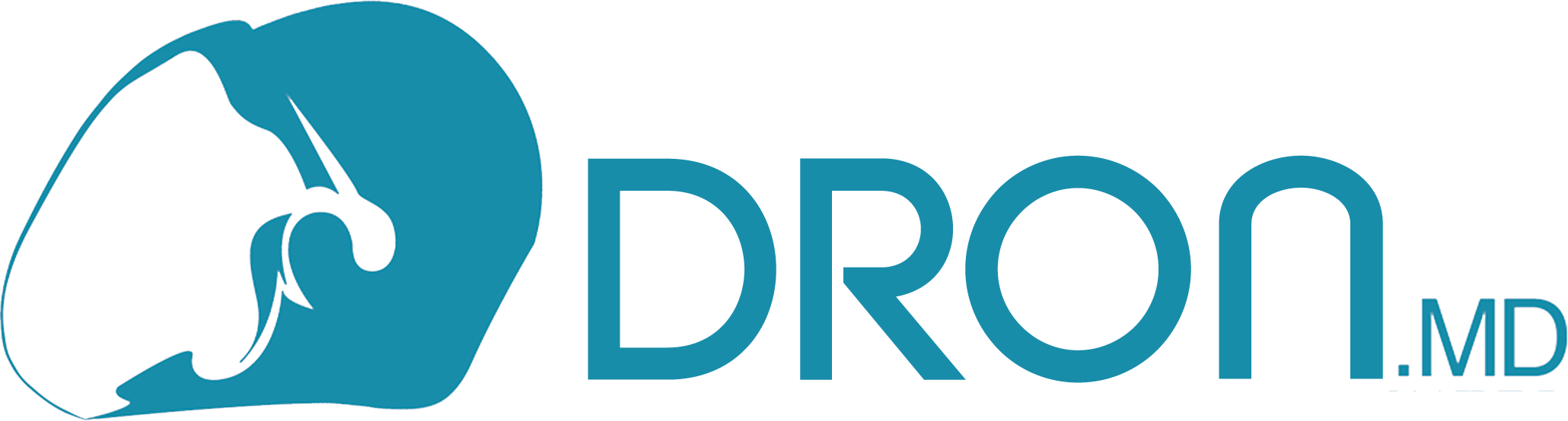 DRON.MD (staging)